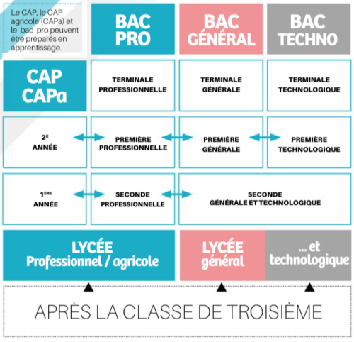 Orientation Les Choix Possibles Apr S La Classe De E Vosges